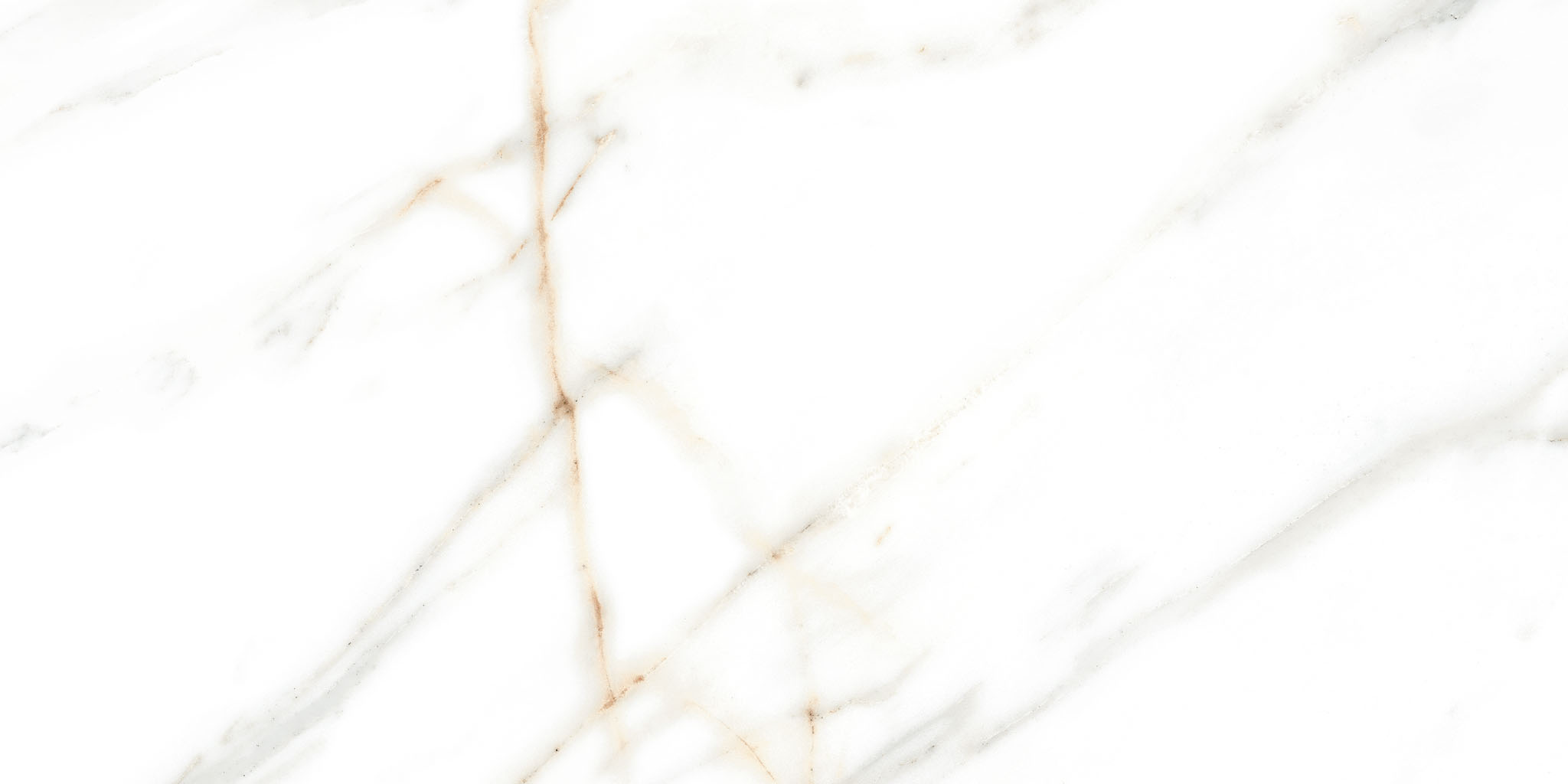 ARDENZA MAT 30X60