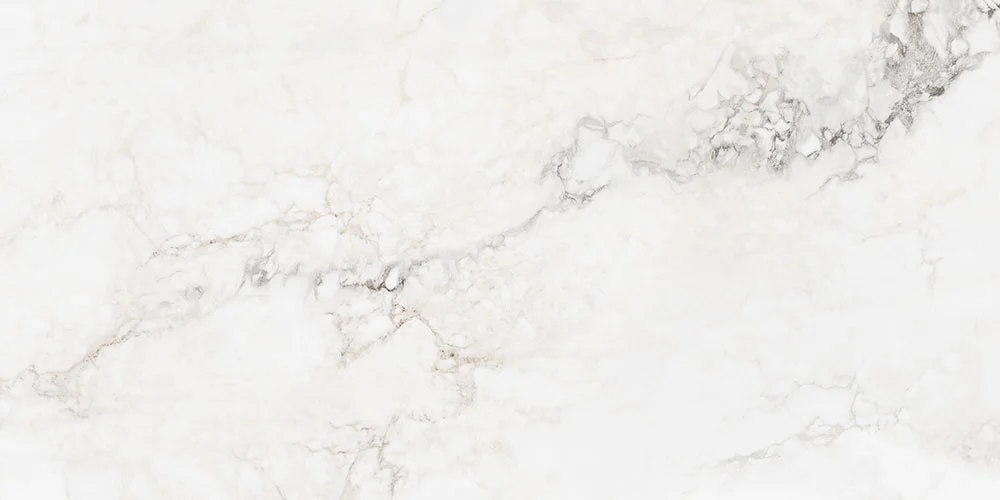 VERMONT 60X120 POLI