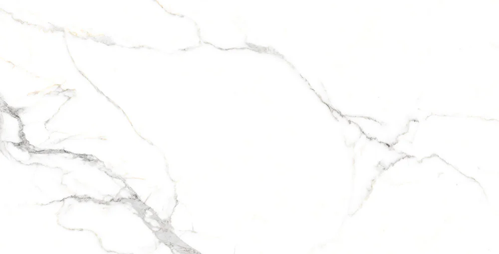 SWAN 60X120 POLI