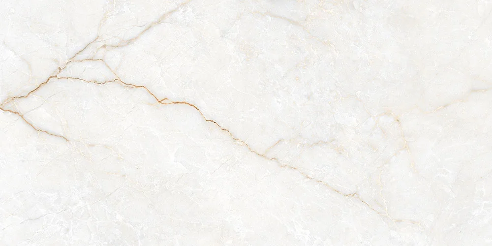 DELICAT 60X120 POLI